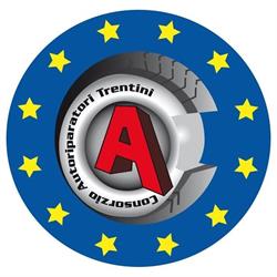 Consorzio Autoriparatori Artigiani Dell'Alta Valsugana Revisioni E Servizi, Caldonazzo orari di apertura