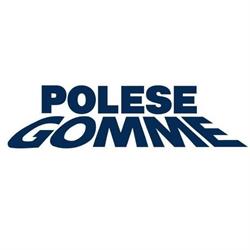Polese Gomme SRL, Mareno di Piave orari di apertura
