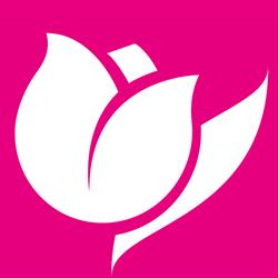 Il Tulipano S.N.C. Di Il Tulipano S.R.L., Conegliano orari di apertura