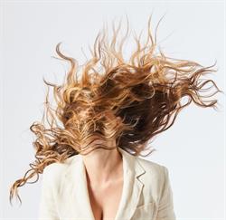 Hair Club, Quinto di Treviso orari di apertura