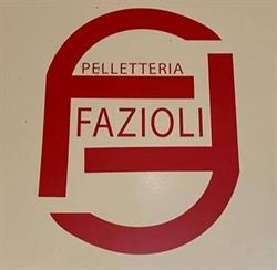 Pelletteria Fazioli, Treviso orari di apertura