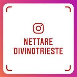 Nettare Divino Di Matteo Benet & C. SAS, Trieste orari di apertura
