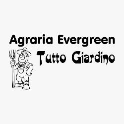 Agraria Evergreen, Trieste orari di apertura