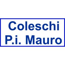 Coleschi Mauro Perito Industriale, Trieste orari di apertura