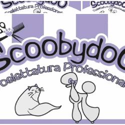 Scoobydoo Toelettatura Professionale, Gallarate orari di apertura