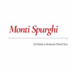 Monti Spurghi di Fabio e Antonio Monti Snc, Saronno orari di apertura