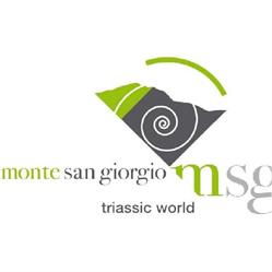 Museo Civico Dei Fossili Di Besano, orari di apertura