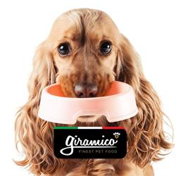 Giramico H.C.S, Venegono Superiore orari di apertura