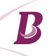 Bombieri S.r.l., San Martino Buon Albergo orari di apertura