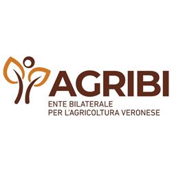 Agricoltori Verona Servizi SRL, orari di apertura