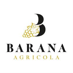Barana Carlo, Verona orari di apertura