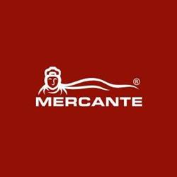 Il Mercante S.r.l., Villafranca di Verona orari di apertura