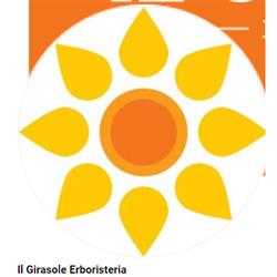 Erboristeria Il Girasole di Nardi Francesca, Montebello Vicentino orari di apertura