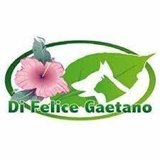 Di Felice Gaetano, Vetralla orari di apertura