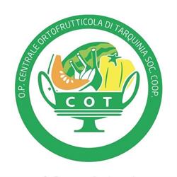 Centrale Ortofrutticola Di Tarquinia SOC. COOP., orari di apertura