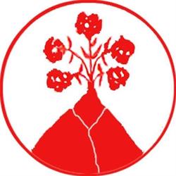 Procacci SRL, Monterosi orari di apertura
