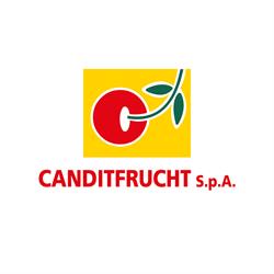 Canditfrucht S.p.a. Frutta Candita Agrumi, Barcellona Pozzo di Gotto orari di apertura