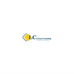 Larizza Consulting, Milano orari di apertura