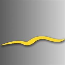 Unicar Service SRL, Monza orari di apertura