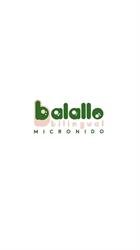 Baby Parking Balallo, Cuneo orari di apertura