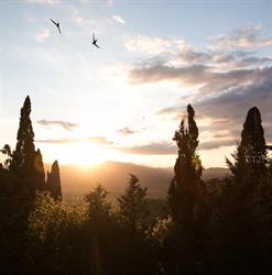 Locanda nel Cassero ristorante, Civitella Marittima orari di apertura