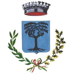 Comune Di Giove, orari di apertura