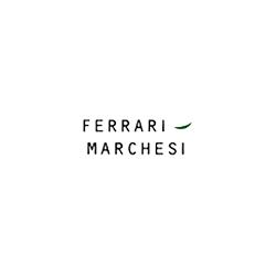 Studio Marchesi Associati, Modena orari di apertura