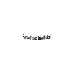 Ronco Flavio - Trivellazione Pozzi, Carignano orari di apertura
