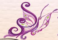 Butterfly Estetica SRL, Roma orari di apertura