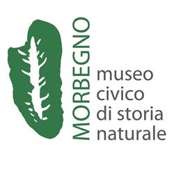 Museo Civico Di Storia Naturale, Morbegno orari di apertura