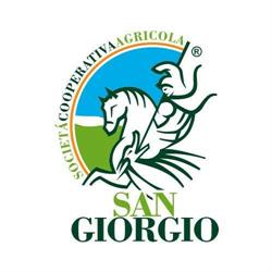 Oleificio Cooperativo san Giorgio, Carpignano Salentino orari di apertura