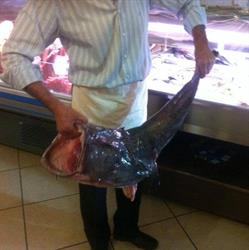 Ristorante La Fiorentina, Fiano Romano orari di apertura