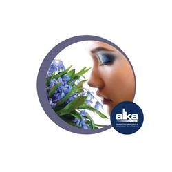 Alka S.r.l., Bergamo orari di apertura