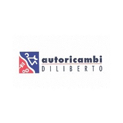 Diliberto Srl, Palermo orari di apertura
