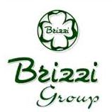 Brizzi Group - Ingrosso e Dettaglio Bomboniere Di Brizzi Ferdinando & C. SAS, Frosinone orari di apertura