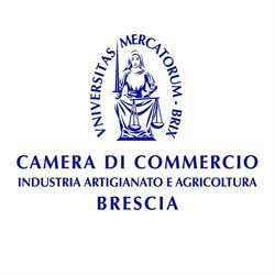 Camera Di Commercio Industria Artigianato E Agricoltura Di Brescia, orari di apertura