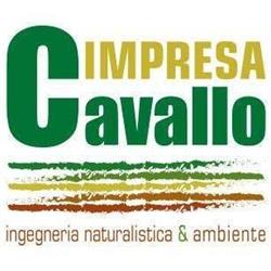 Impresa Cavallo SRL, Torino orari di apertura