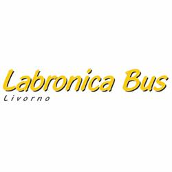 Labronica Bus, Livorno orari di apertura