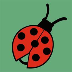 LA COCCINELLA di MAURO CLAUDIA, Racale orari di apertura