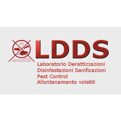 Ldds, Sarezzo orari di apertura