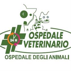 Ospedale degli Animali, Ferrara orari di apertura