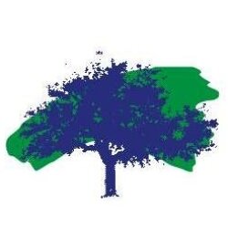 Pini srl, Gerenzano orari di apertura