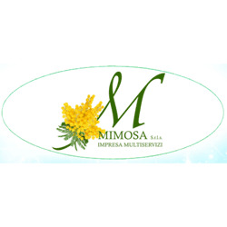 Impresa di Pulizie Mimosa, Cura Carpignano orari di apertura
