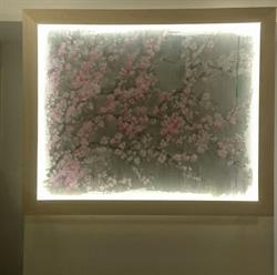 Sakura Sushi, Como orari di apertura