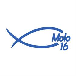 Ristorante Molo 16, Torino orari di apertura