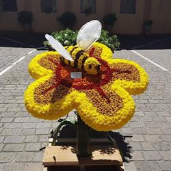 Scuola Figlie del Sacro Cuore di Gesu' Istituto Figlie S. Cuore di Gesu', Cremona orari di apertura