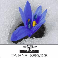 Tajana Service Sas, Como orari di apertura