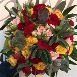 Evolution Flower's Di Aristide Di Maio, Mondragone orari di apertura