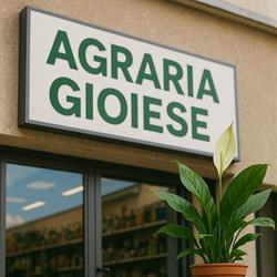 Agraria Gioiese, Gioia Tauro orari di apertura