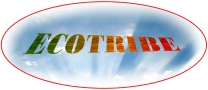 ECOTRIBE Tecnologia Abitativa Avanzata, Moncalieri orari di apertura